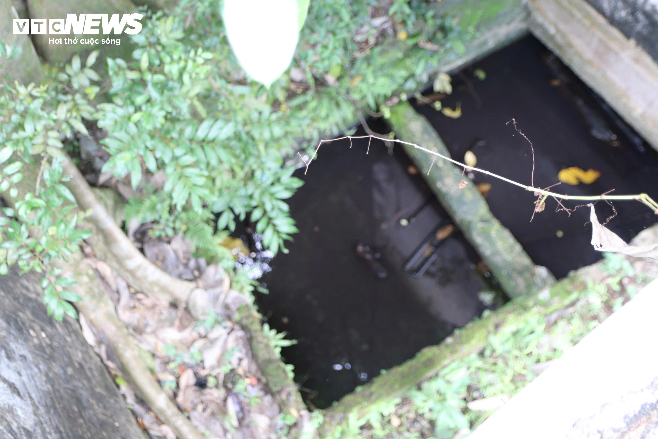 Chưa được cấp kinh phí, di tích nhà 'bạo chúa miền Trung' tiếp tục hoang lạnh - 11