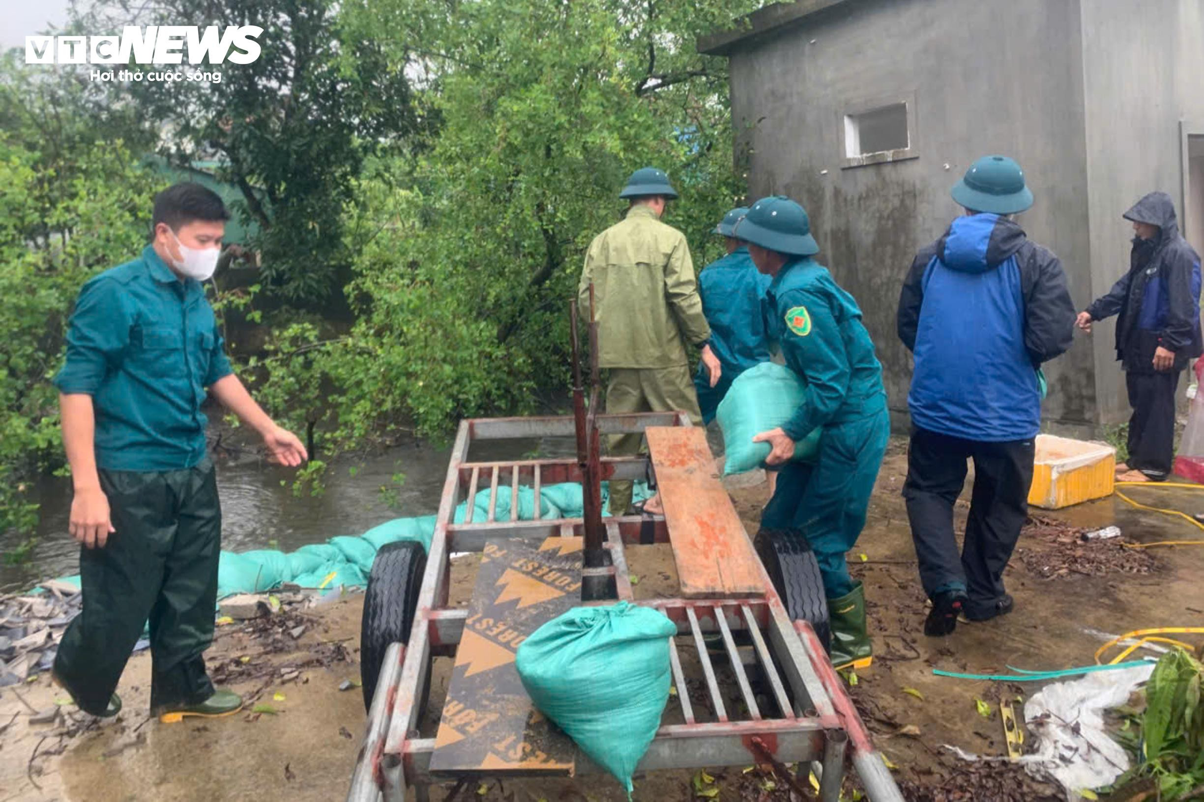 Bộ đội sát cánh cùng dân neo thuyền, chằng chống nhà cửa ứng phó bão số 10 - 6