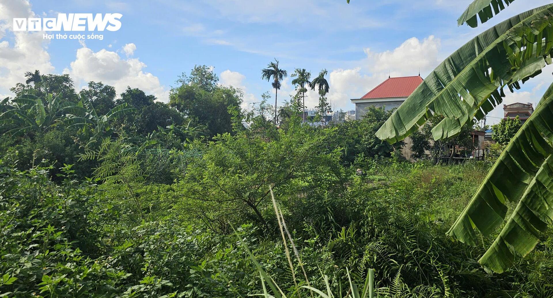 Lạ lùng khu dân cư 'nhà không số, phố không tên' giữa đô thị Hải Phòng - 1