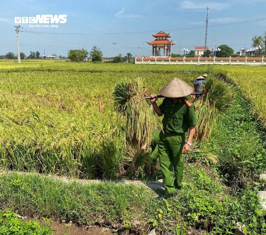 Công an lội ruộng giúp dân gặt lúa 'chạy bão' Matmo - 6