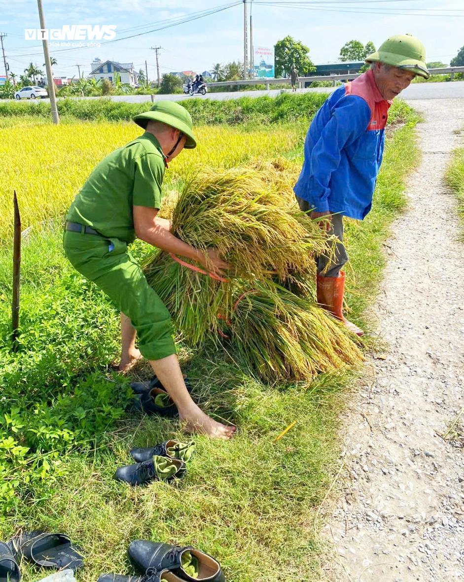 Công an lội ruộng giúp dân gặt lúa 'chạy bão' Matmo - 2