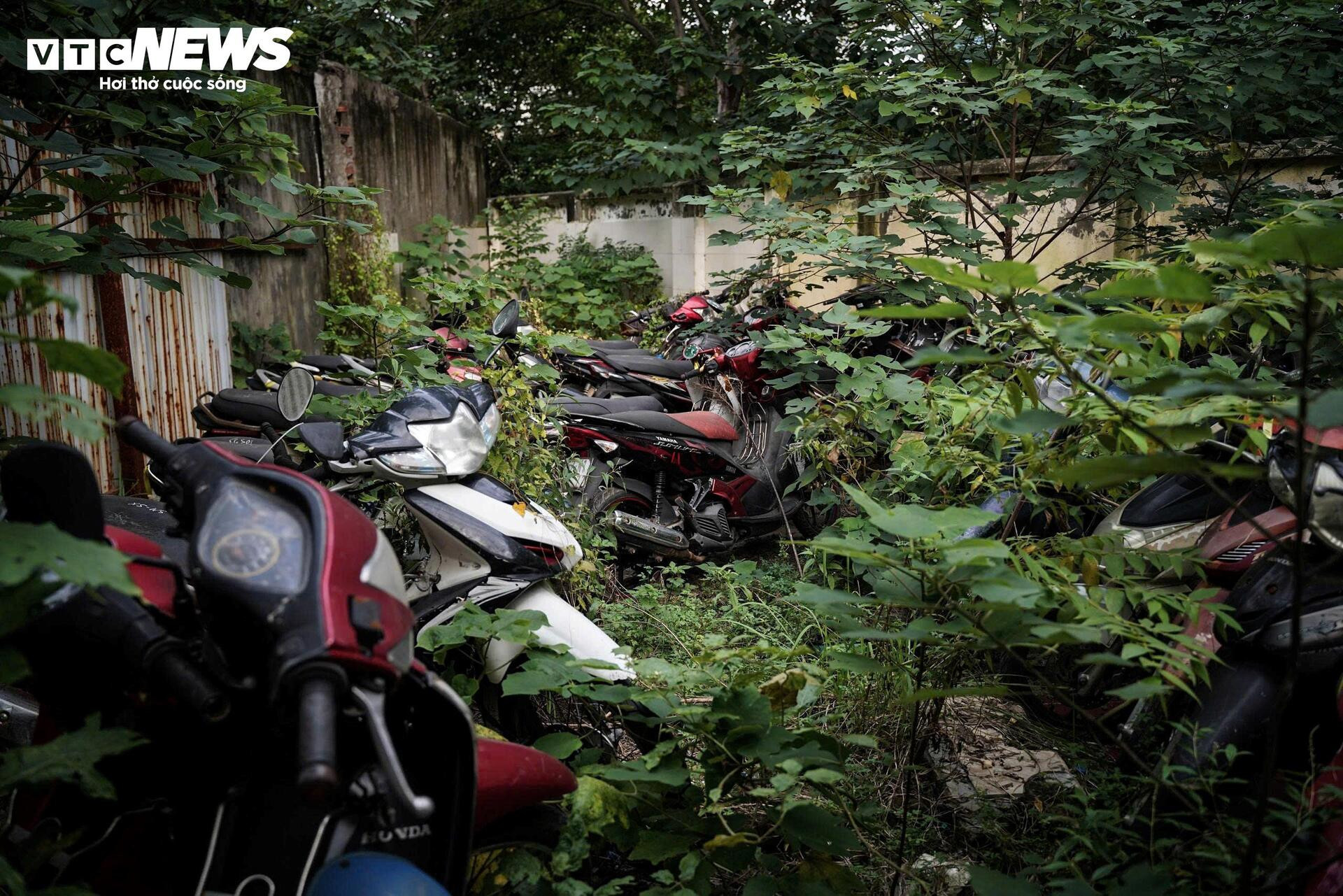 Cận cảnh hàng nghìn phương tiện chất đống trong 'nghĩa địa' xe vi phạm ở Hà Nội - 9