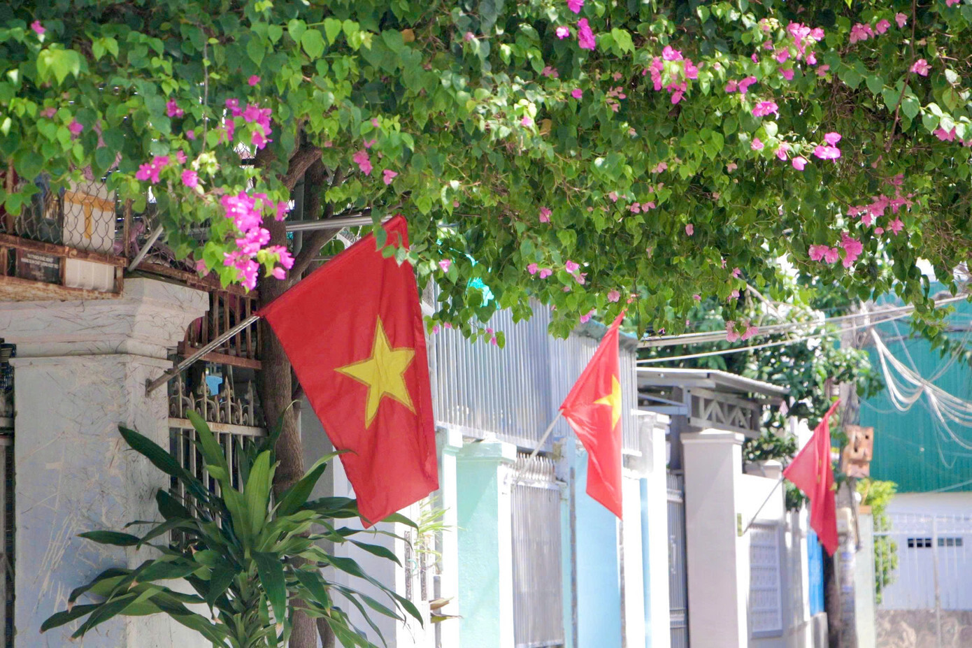 Khánh Hòa 'thay áo mới' chào mừng Đại hội đại biểu Đảng bộ tỉnh - 5