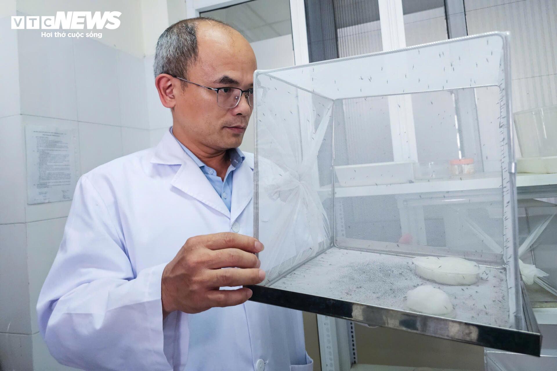 Bên trong 'công xưởng' nuôi muỗi để dập dịch sốt xuất huyết - 5