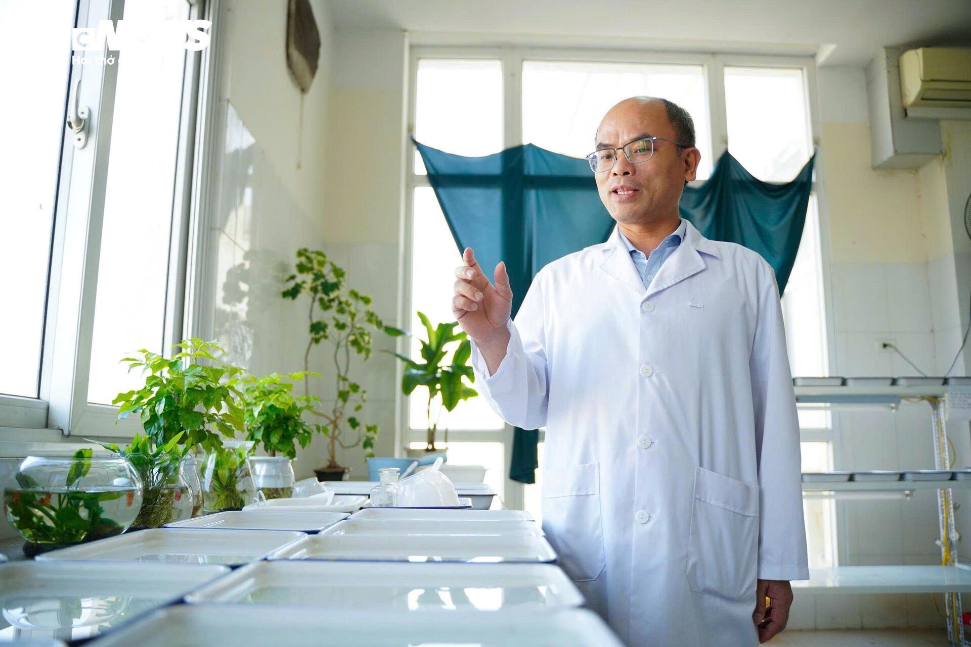 Bên trong 'công xưởng' nuôi muỗi để dập dịch sốt xuất huyết - 11