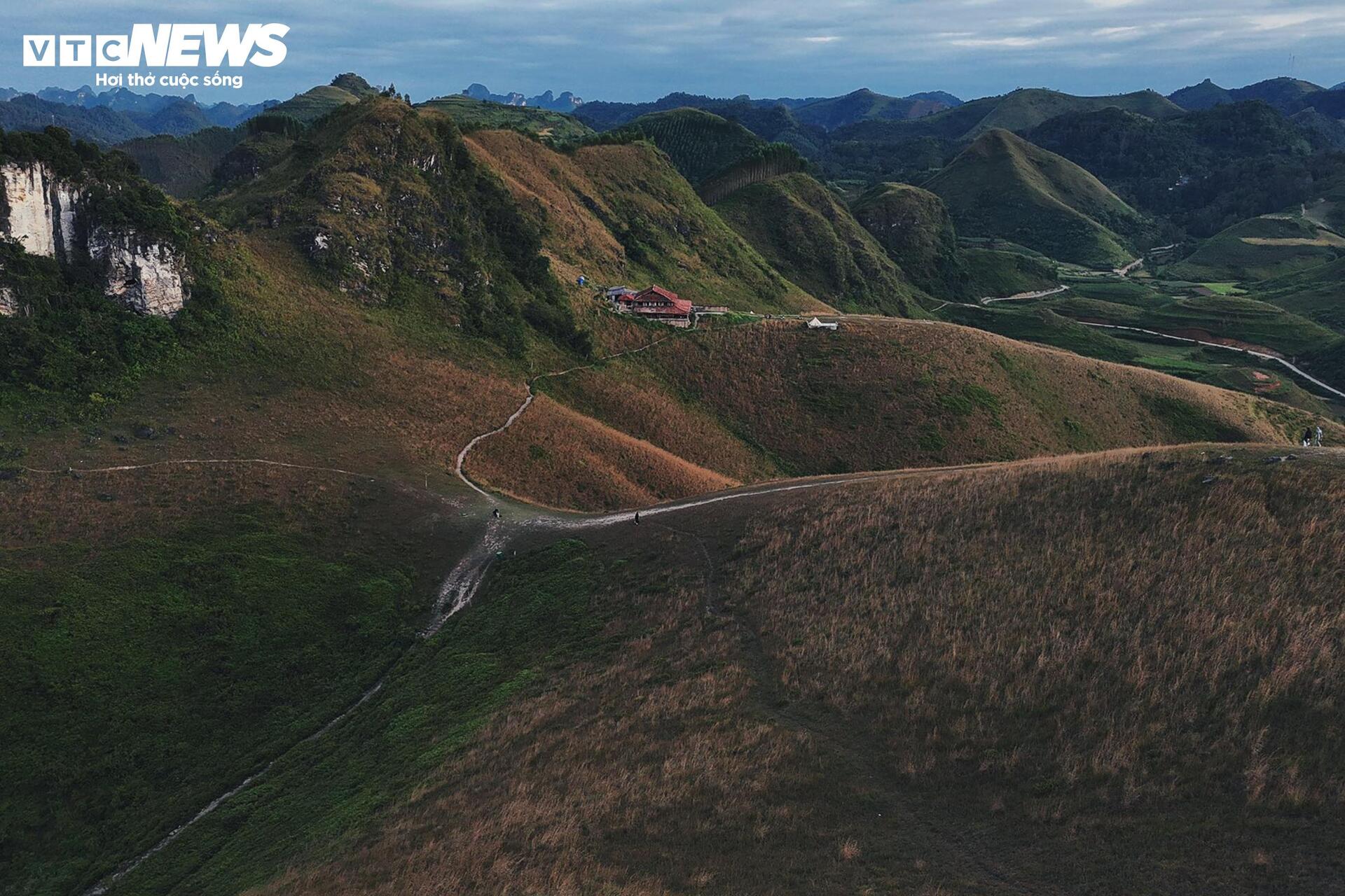 Het seizoen van brandend gras bedekt de Ba Quang-heuvel in het midden van het Cao Bang-bos - 7