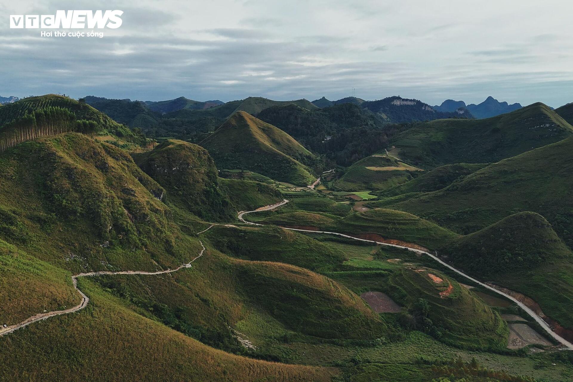 Het seizoen van brandend gras bedekt de Ba Quang-heuvel in het midden van het Cao Bang-bos - 2