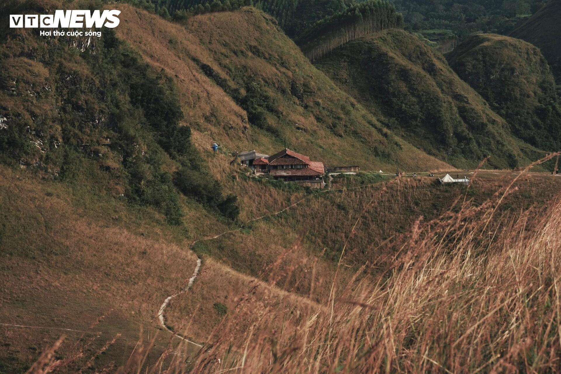 Het seizoen van brandend gras bedekt de Ba Quang-heuvel in het midden van het Cao Bang-bos - 3
