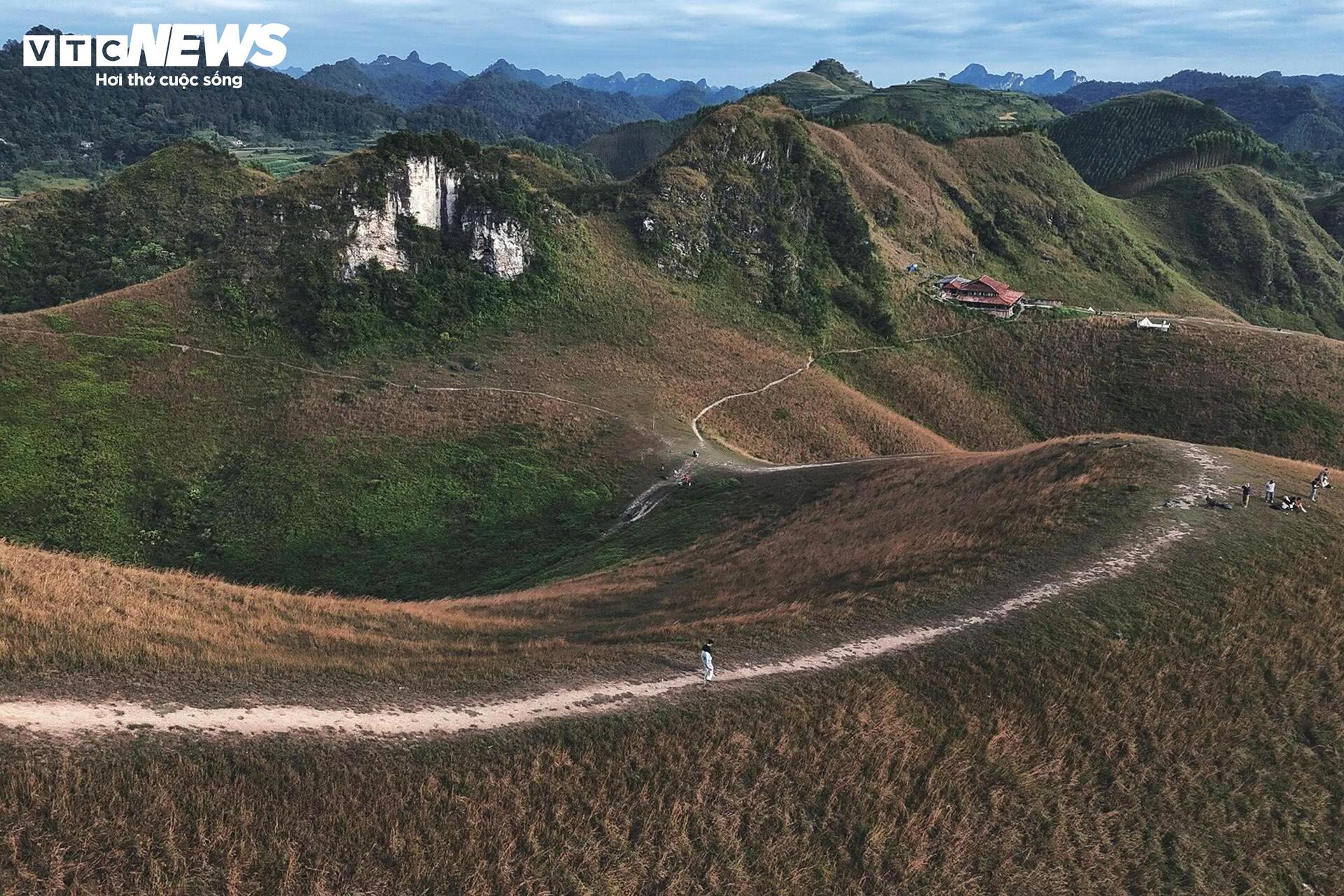 Het seizoen van brandend gras bedekt de Ba Quang-heuvel in het midden van het Cao Bang-bos - 4