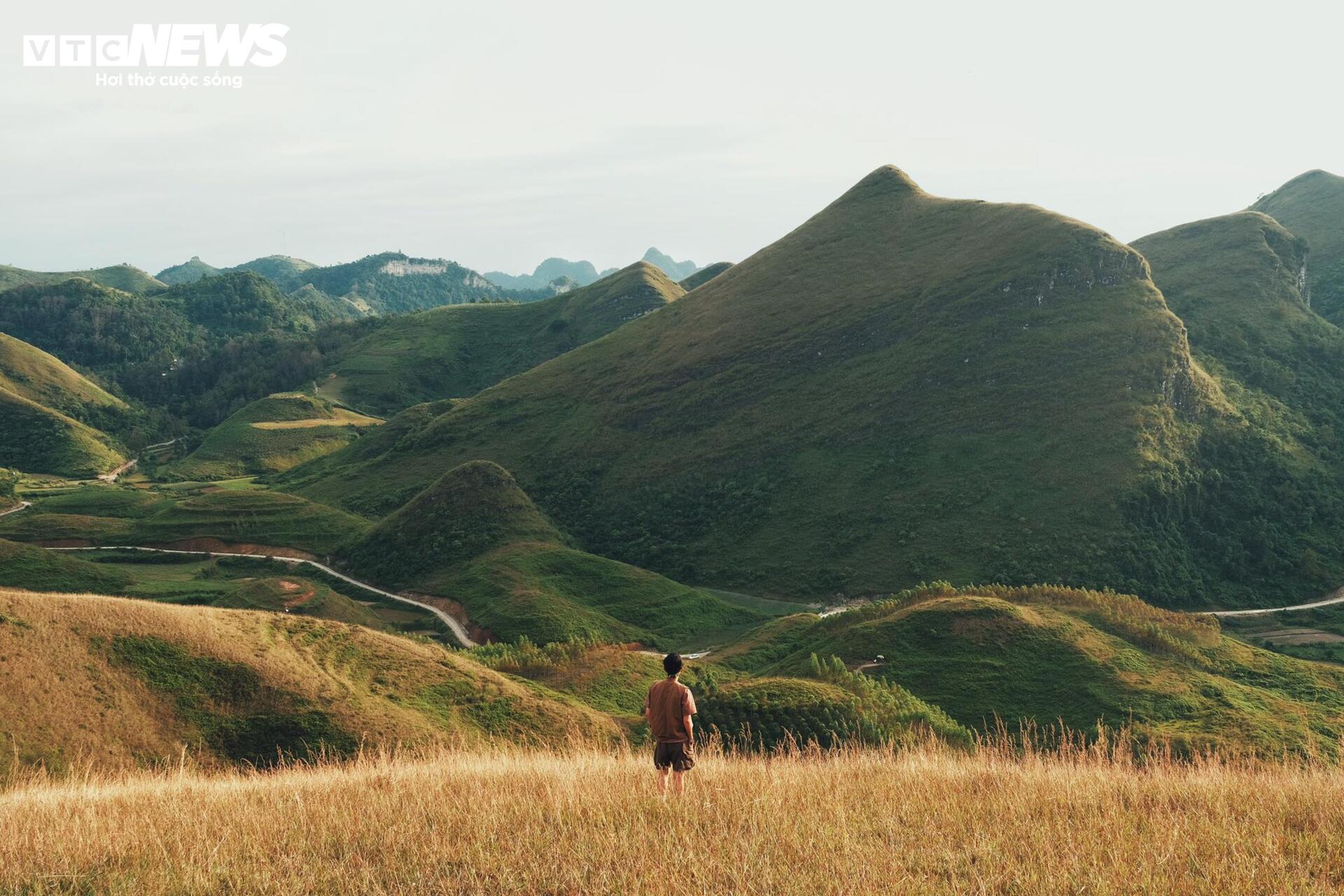 Het seizoen van brandend gras bedekt de Ba Quang-heuvel in het midden van het Cao Bang-bos - 5