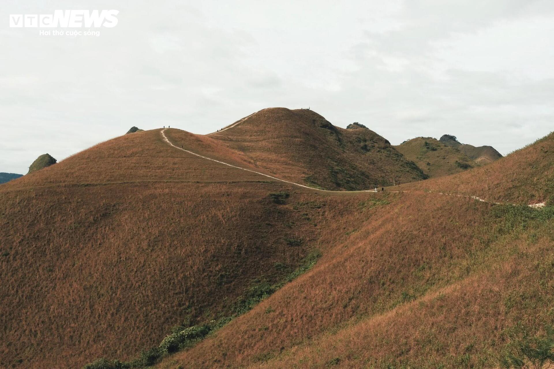 Het seizoen van brandend gras bedekt de Ba Quang-heuvel in het midden van het Cao Bang-bos - 6