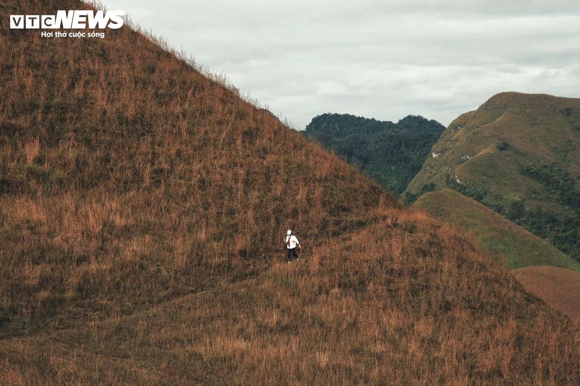 Het seizoen van brandend gras bedekt de Ba Quang-heuvel in het midden van het Cao Bang-bos - 8