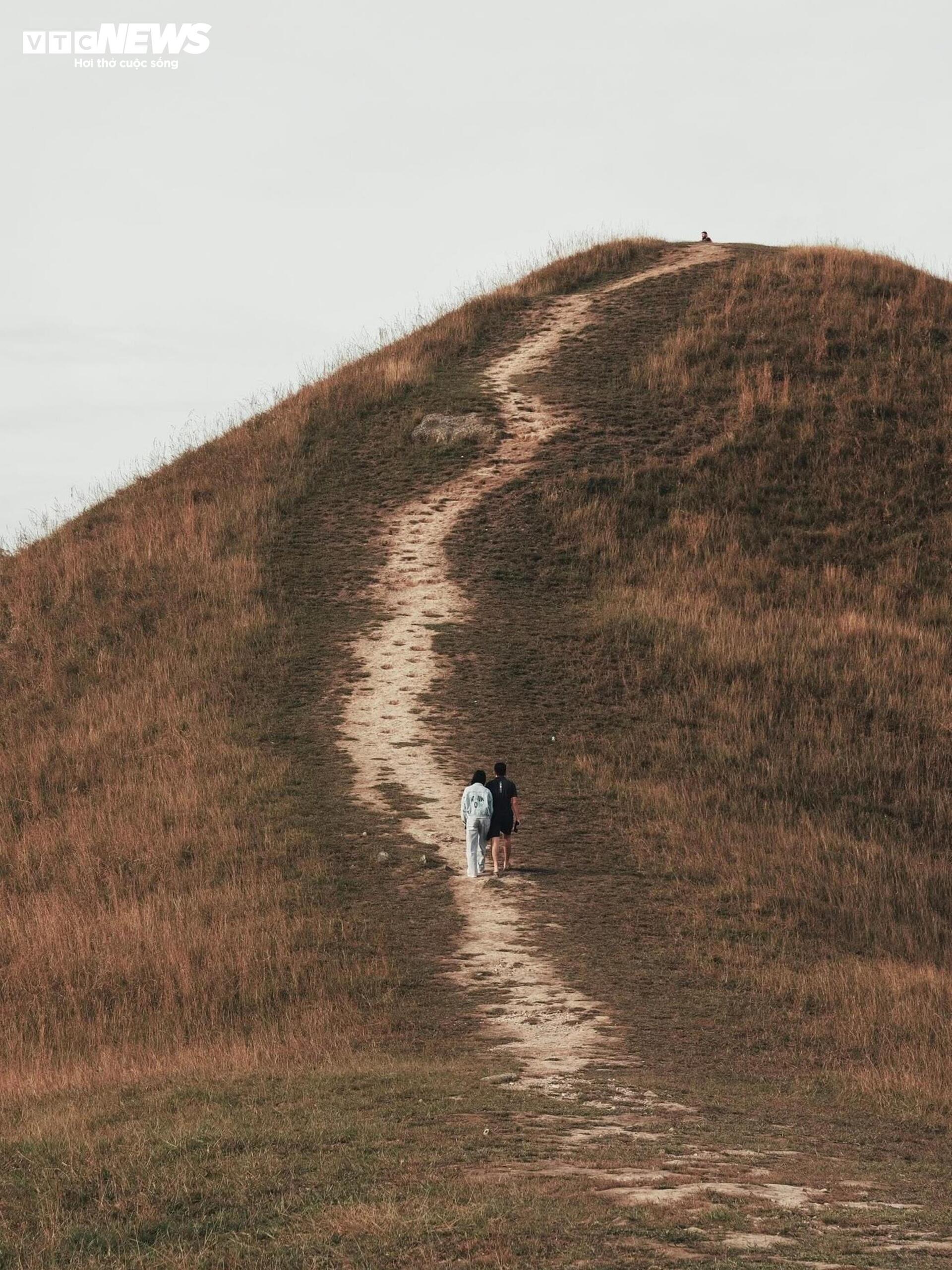 Het seizoen van brandend gras bedekt de Ba Quang-heuvel in het midden van het Cao Bang-bos - 9