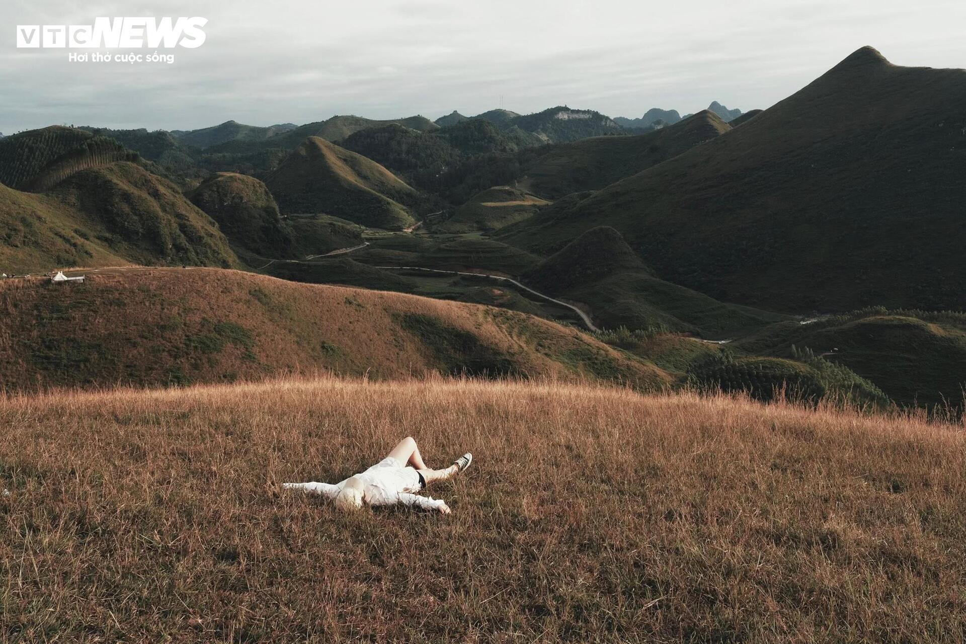 Het seizoen van brandend gras bedekt de Ba Quang-heuvel in het midden van het Cao Bang-bos - 10