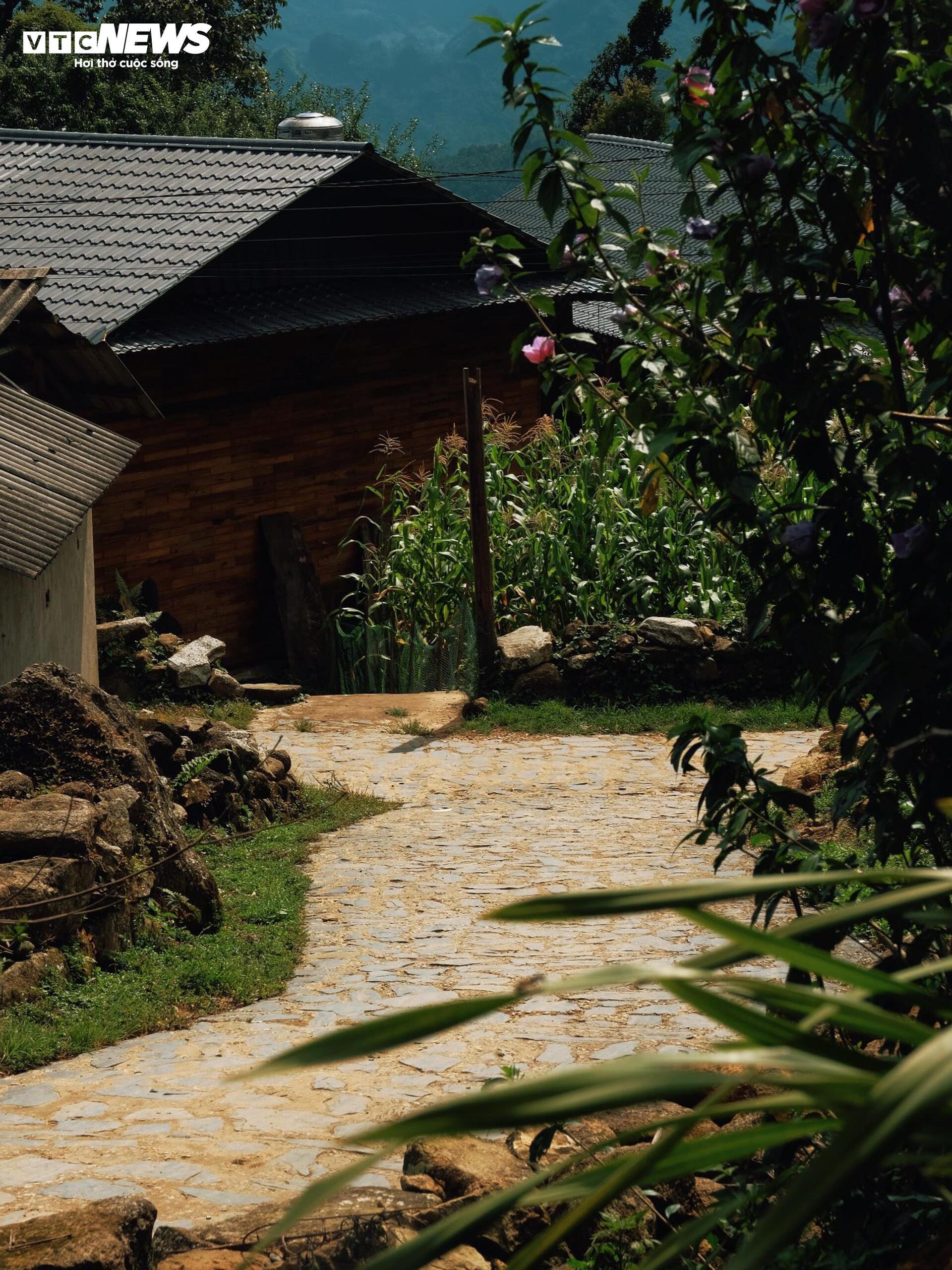 Về Sì Thâu Chải ngắm bản làng giữa mây và hoa của người Dao - 12