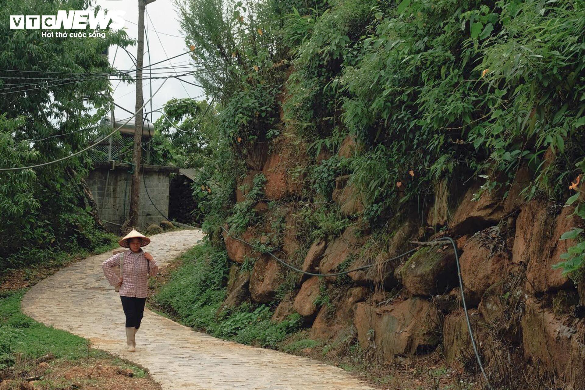 Về Sì Thâu Chải ngắm bản làng giữa mây và hoa của người Dao - 2