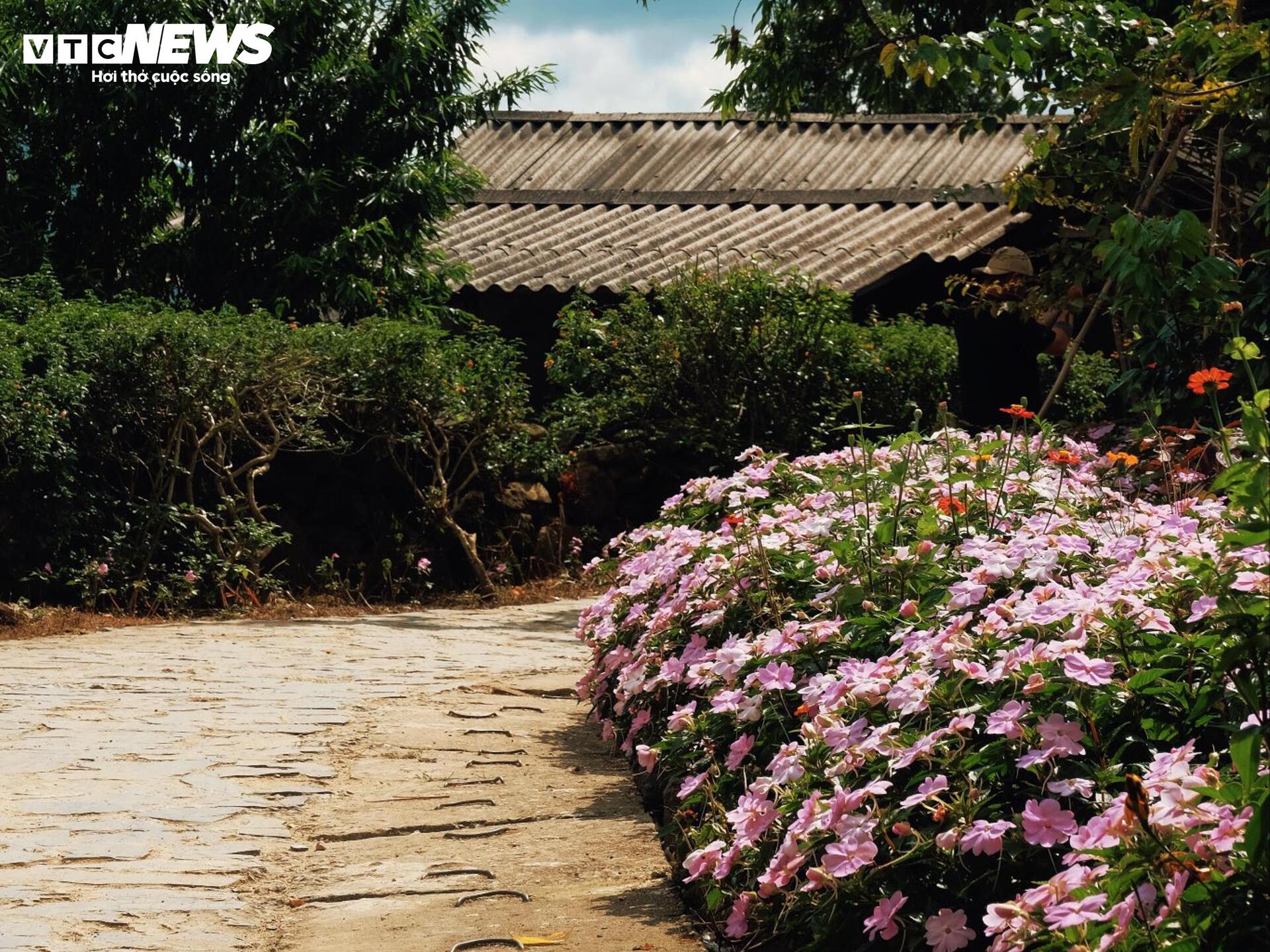 Về Sì Thâu Chải ngắm bản làng giữa mây và hoa của người Dao - 8