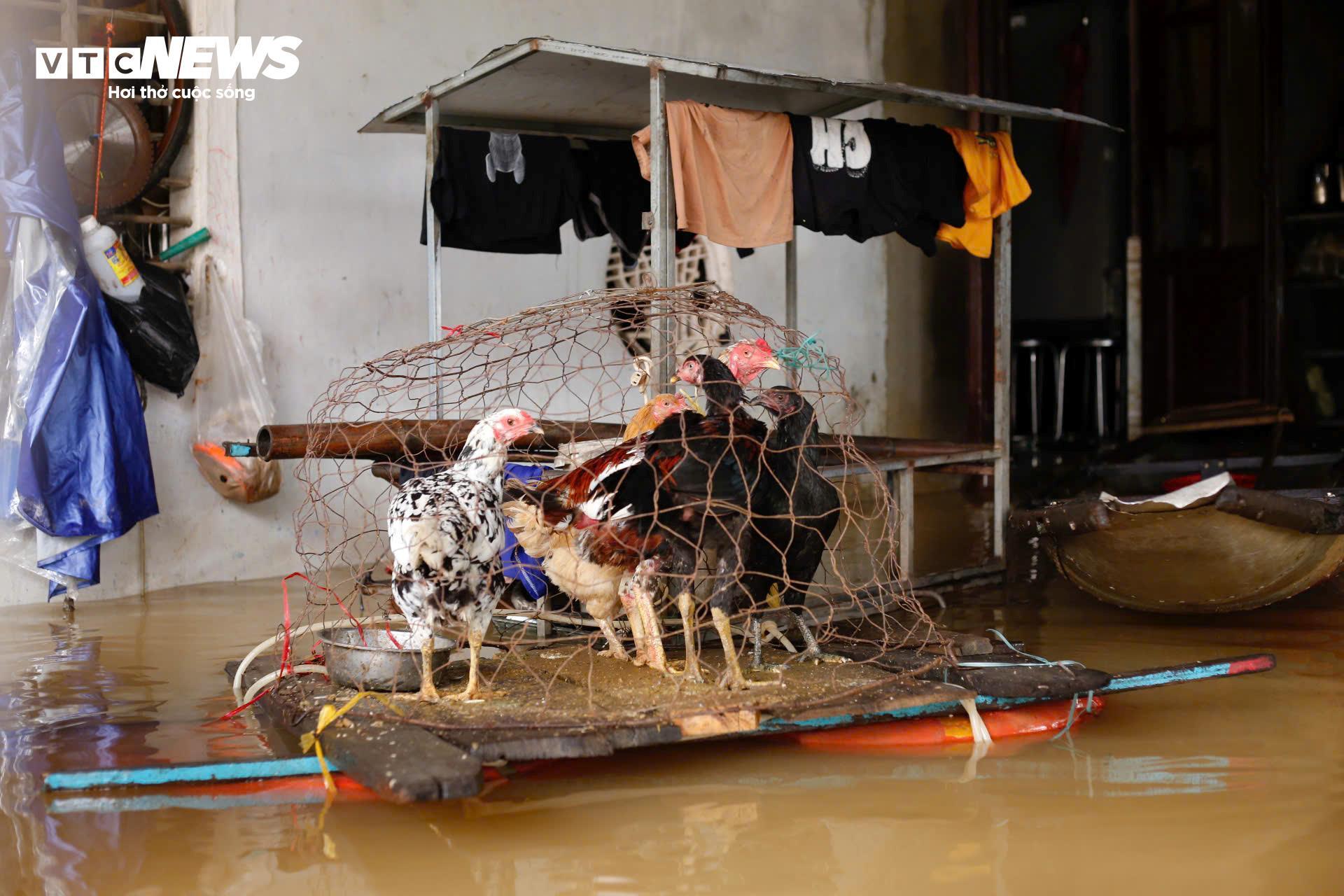 Nước sông dâng vượt xa báo động 3, TP Huế tiếp tục chìm trong biển nước - 3