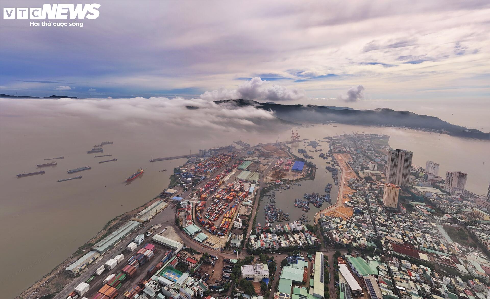 Sáng nay, phố biển Quy Nhơn ‘mơ màng’ trong sương - 7