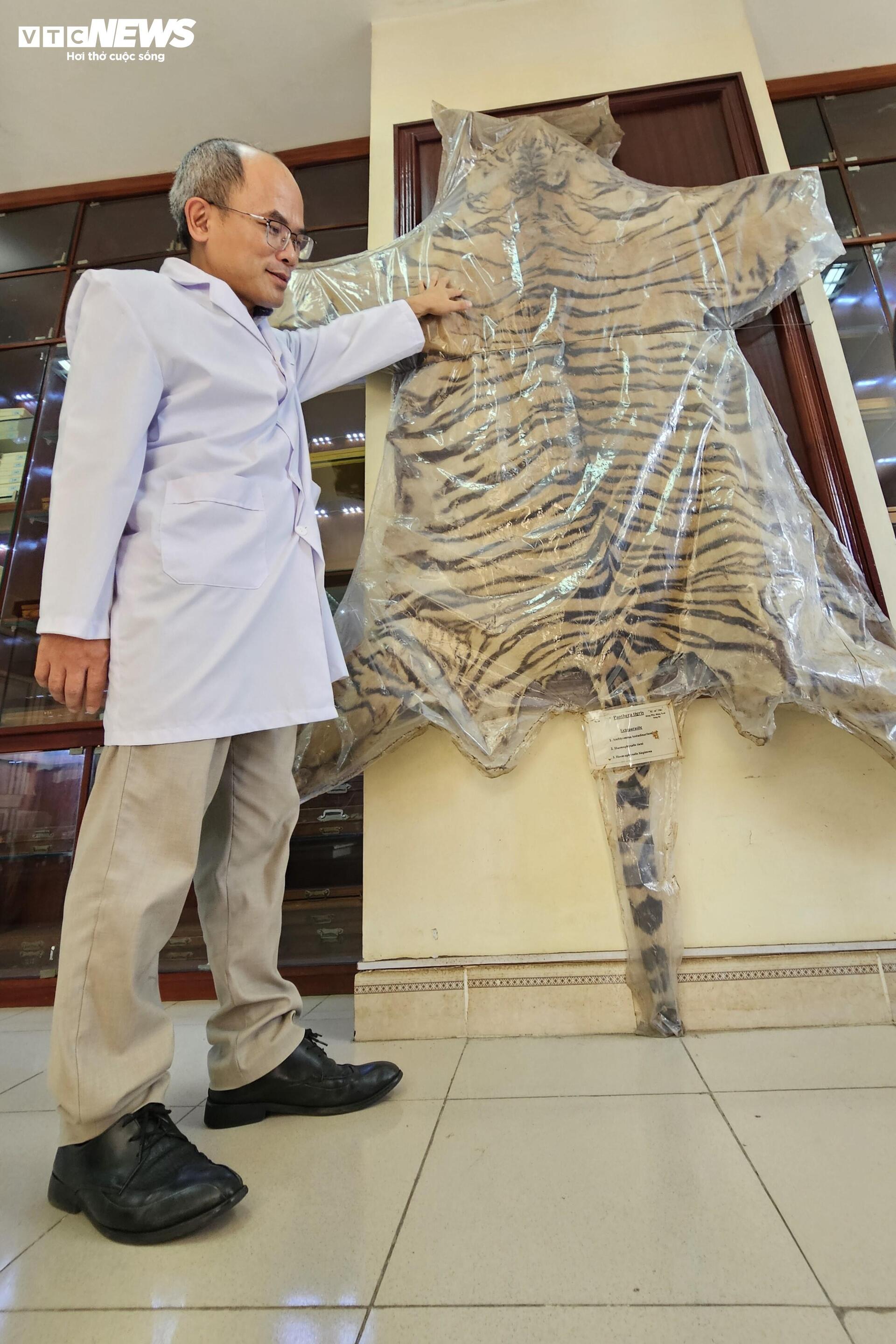 Bên trong bảo tàng lưu giữ những 'kẻ ký sinh' nguy hiểm nhất với con người - 12