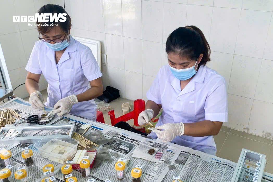 Bên trong bảo tàng lưu giữ những 'kẻ ký sinh' nguy hiểm nhất với con người - 10