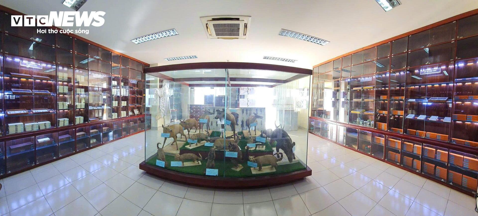 Bên trong bảo tàng lưu giữ những 'kẻ ký sinh' nguy hiểm nhất với con người - 1