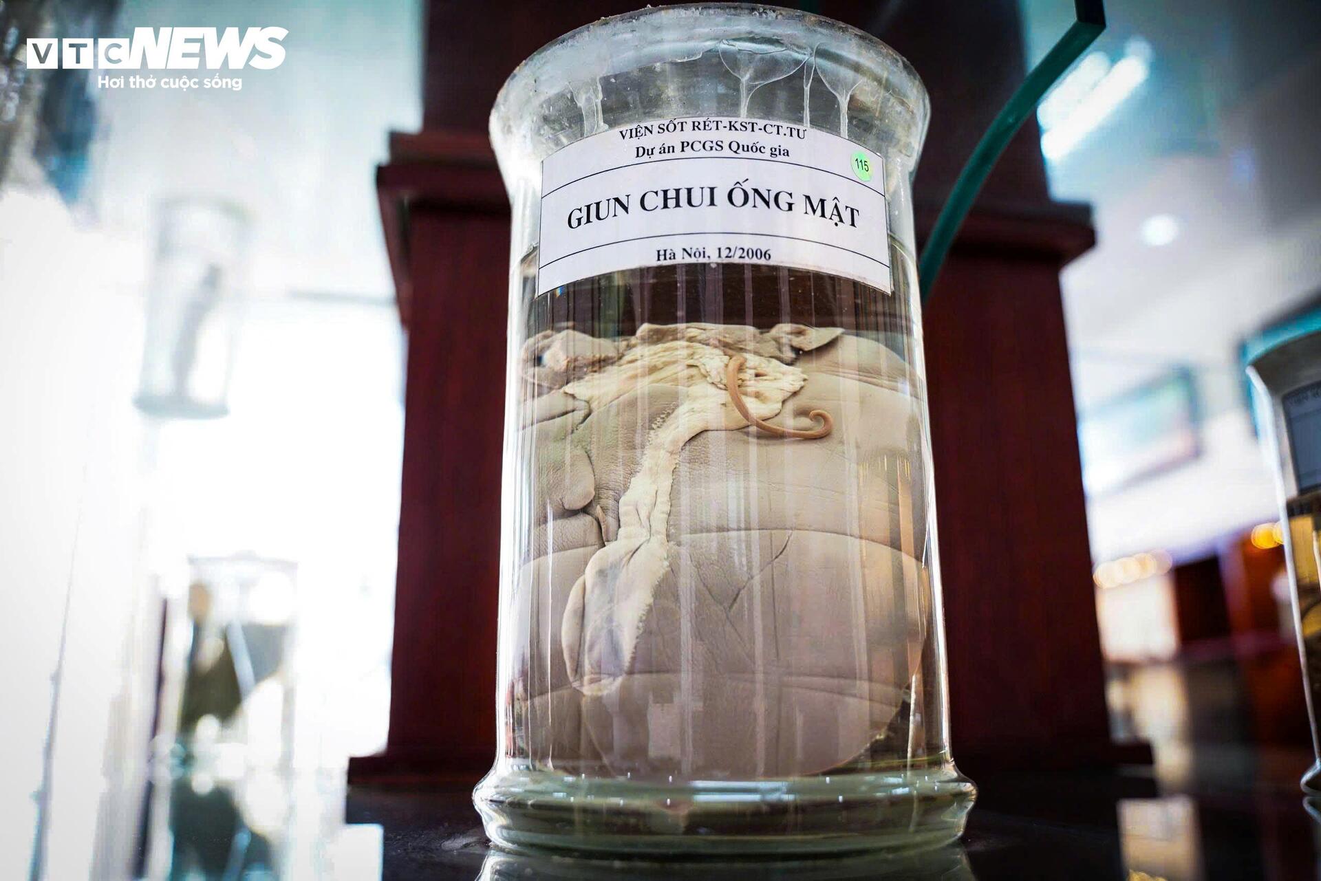 Bên trong bảo tàng lưu giữ những 'kẻ ký sinh' nguy hiểm nhất với con người - 4