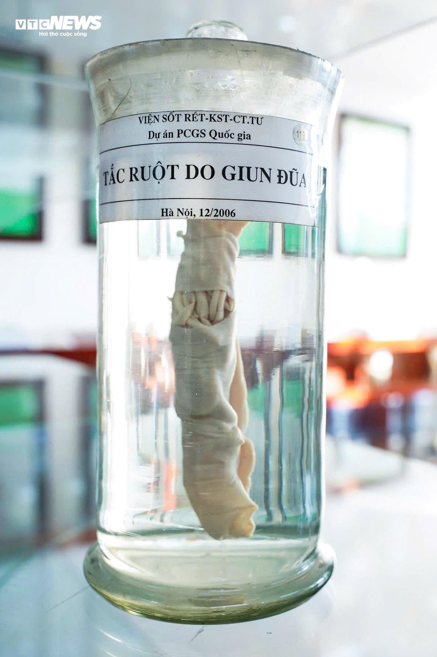 Bên trong bảo tàng lưu giữ những 'kẻ ký sinh' nguy hiểm nhất với con người - 5