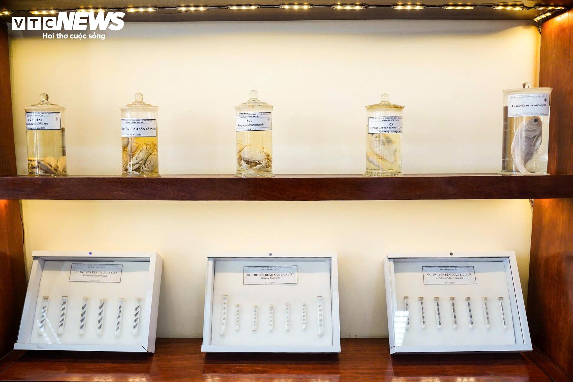 Bên trong bảo tàng lưu giữ những 'kẻ ký sinh' nguy hiểm nhất với con người - 8