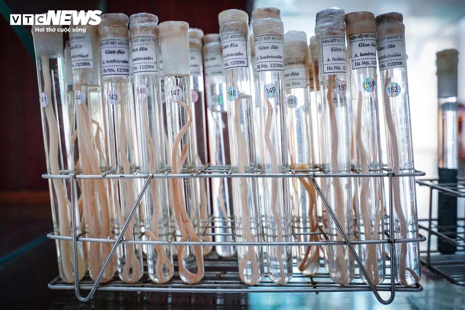 Bên trong bảo tàng lưu giữ những 'kẻ ký sinh' nguy hiểm nhất với con người - 9