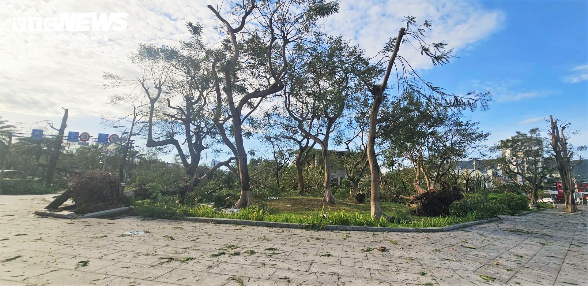 Gia Lai tan hoang sau bão Kalmaegi: Nhà tốc mái đổ sập, cây bật gốc hàng loạt - 12