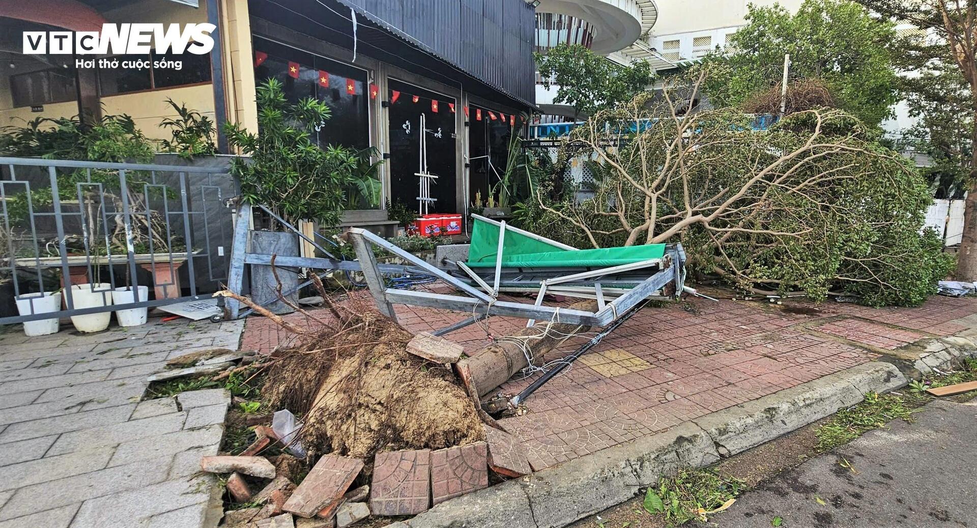 Gia Lai tan hoang sau bão Kalmaegi: Nhà tốc mái đổ sập, cây bật gốc hàng loạt - 13