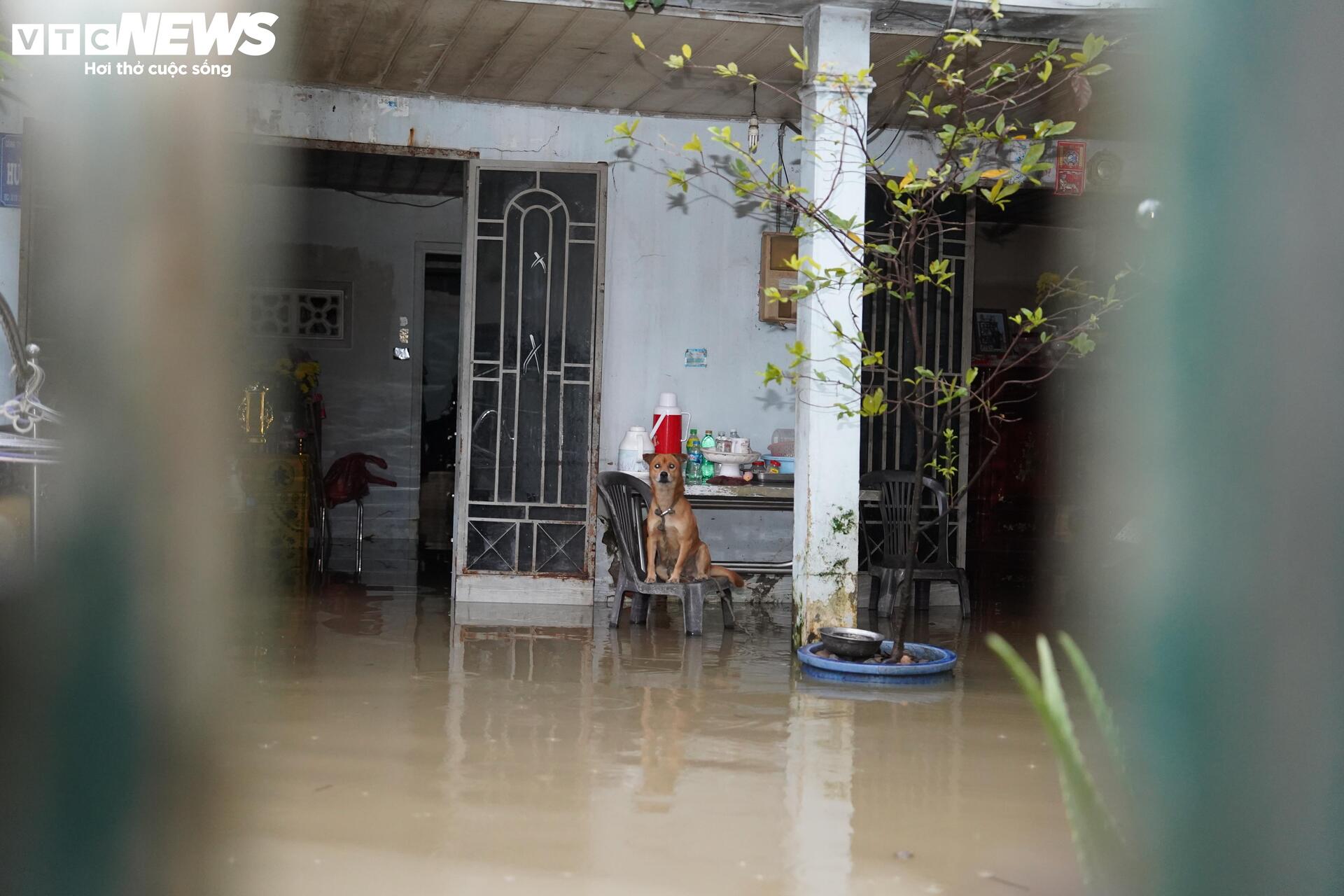 Triều cường đạt đỉnh lịch sử, người dân TP.HCM vật lộn trong biển nước - 10