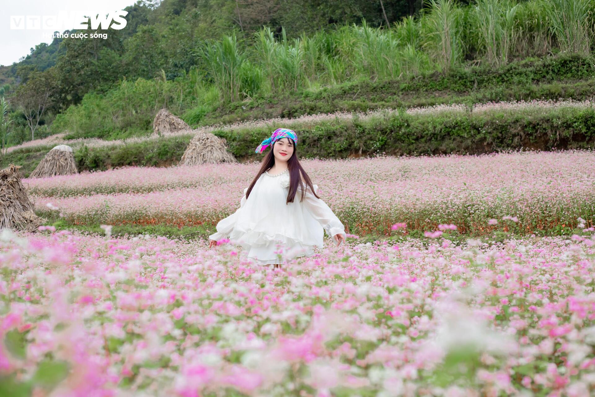 រដូវផ្ការីករីកពេញក្រមុំ នារីៗអញ្ជើញគ្នាទៅដុងវ៉ាន់ ដើម្បីស្វែងរករូបថតស្អាតៗ - ៥