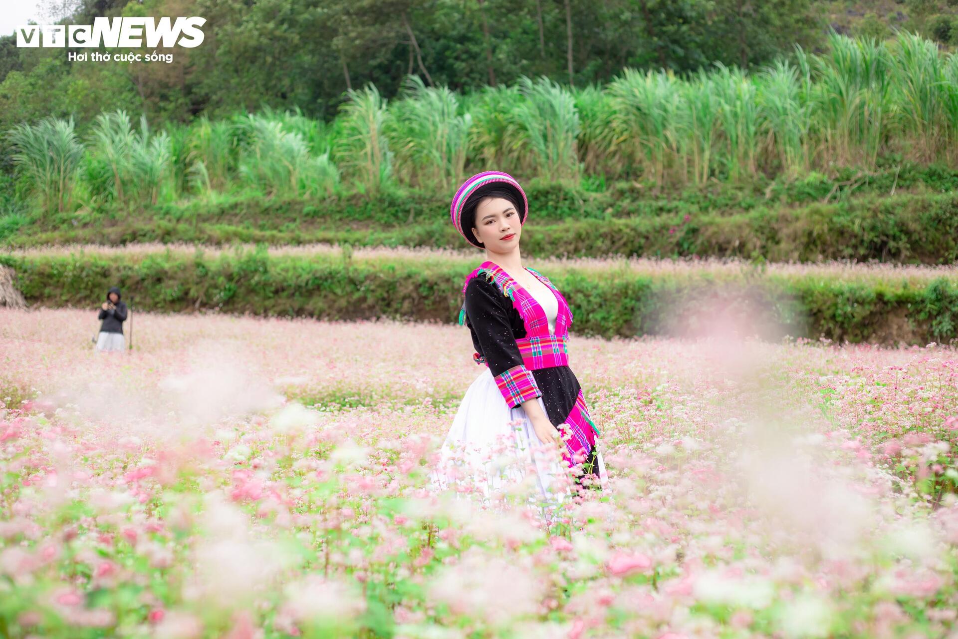 រដូវផ្ការីករីកពេញក្រមុំ នារីៗអញ្ជើញគ្នាទៅដុងវ៉ាន់ ប្រមាញ់រូបថតស្អាតៗ - ៨