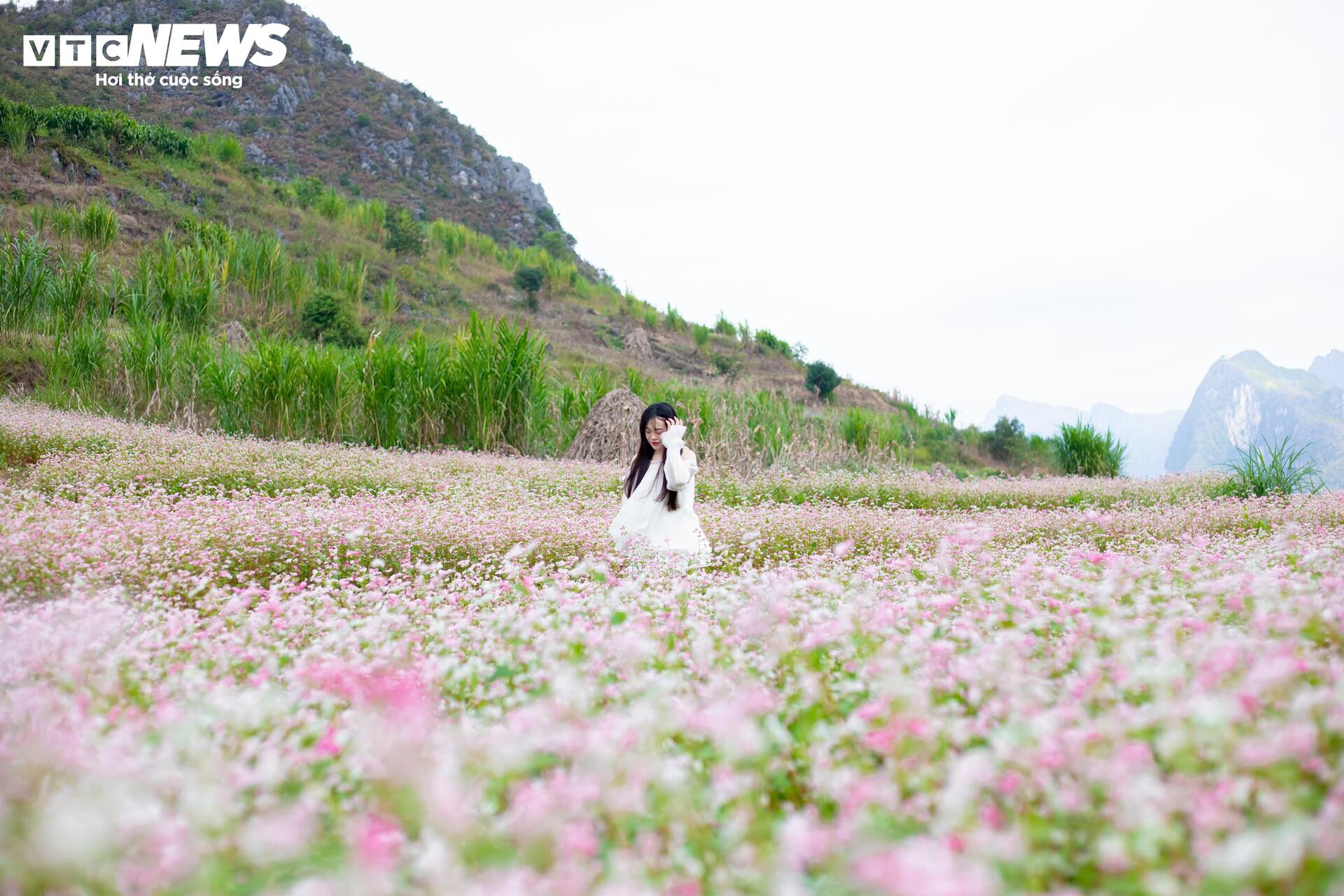 រដូវផ្ការីករីកពេញក្រមុំ នារីៗអញ្ជើញគ្នាទៅដុងវ៉ាន់ ប្រម៉ាញ់ថតរូបស្អាតៗ - ១