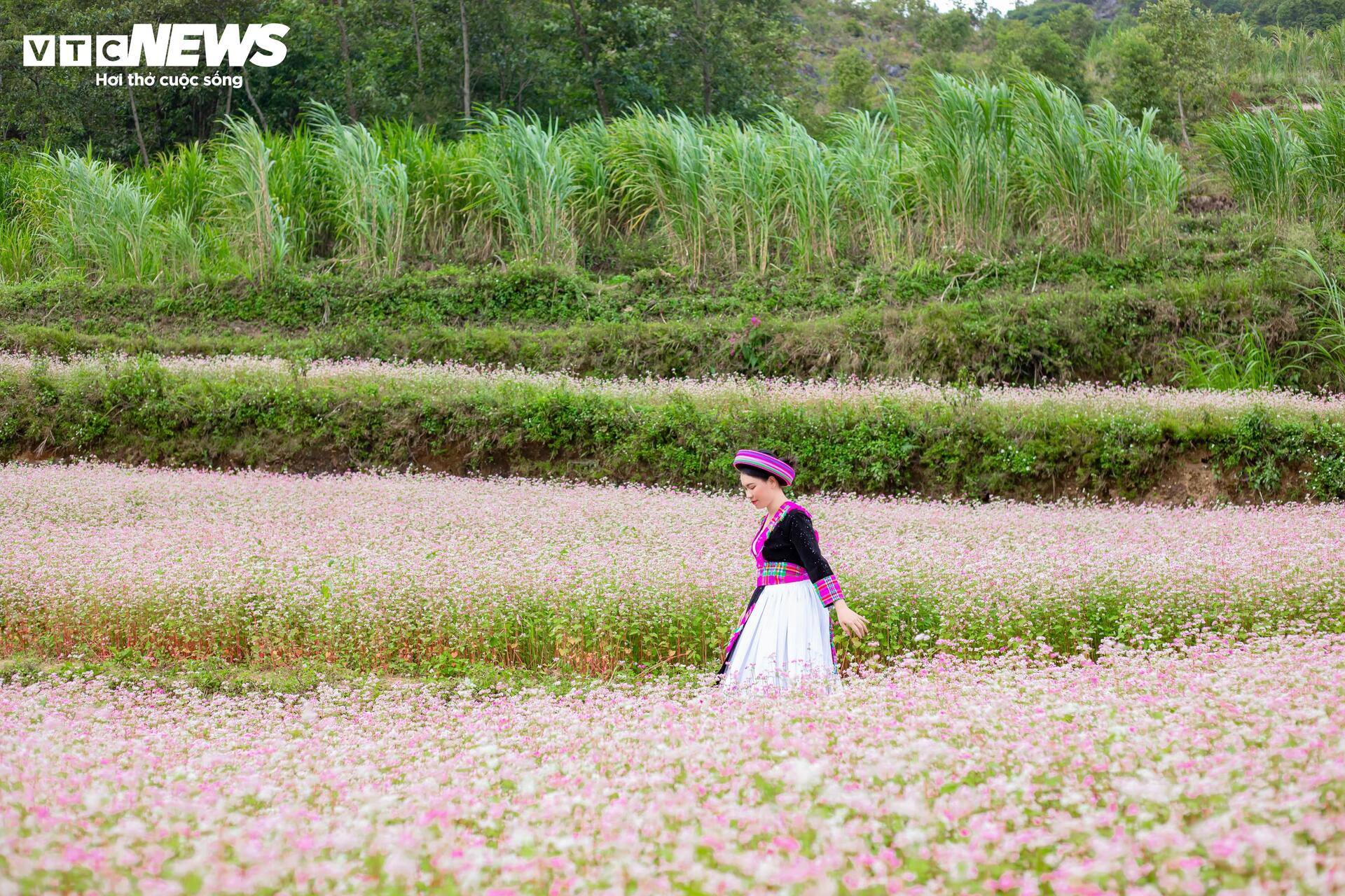 រដូវផ្ការីករីកពេញក្រមុំ នារីៗអញ្ជើញគ្នាទៅដុងវ៉ាន់ ដើម្បីស្វែងរករូបថតស្អាតៗ - ២