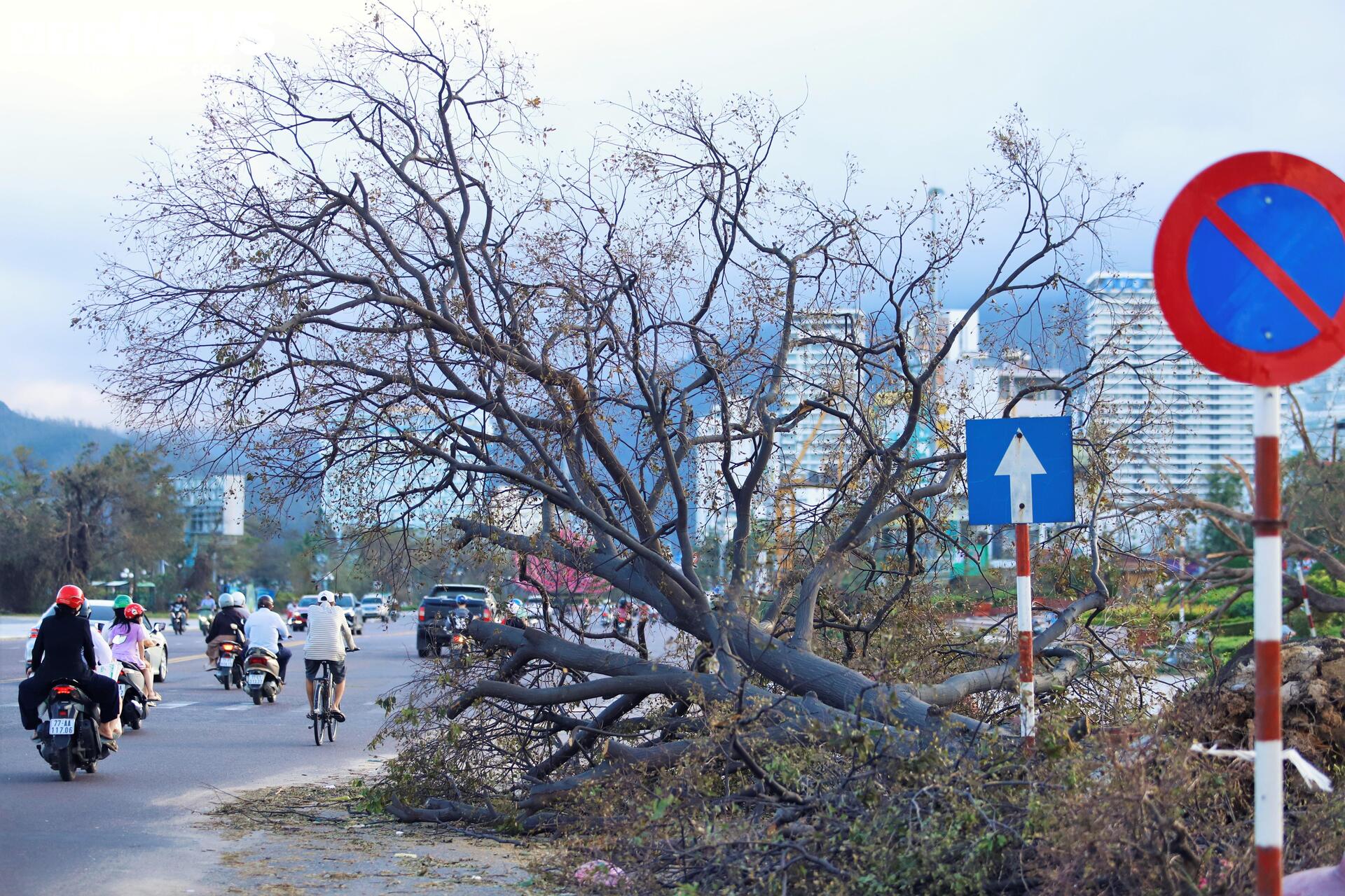 Gồng mình khắc phục hậu quả sau bão Kalmaegi - 1