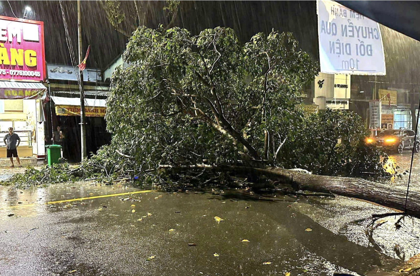Cây đổ la liệt, đè bẹp xe máy ở TP.HCM sau cơn mưa dông lớn - 2