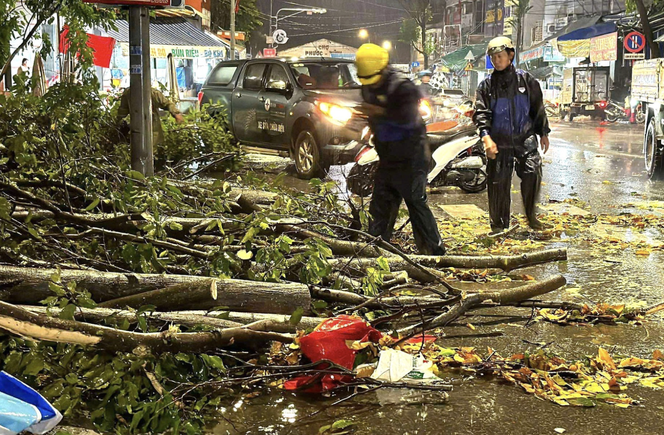 Cây đổ la liệt, đè bẹp xe máy ở TP.HCM sau cơn mưa dông lớn - 6