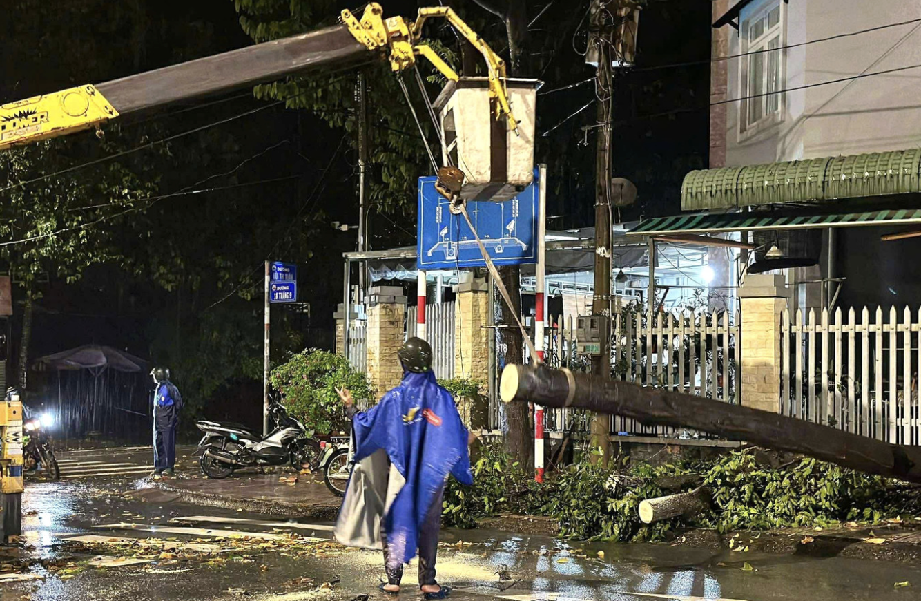 Cây đổ la liệt, đè bẹp xe máy ở TP.HCM sau cơn mưa dông lớn - 8