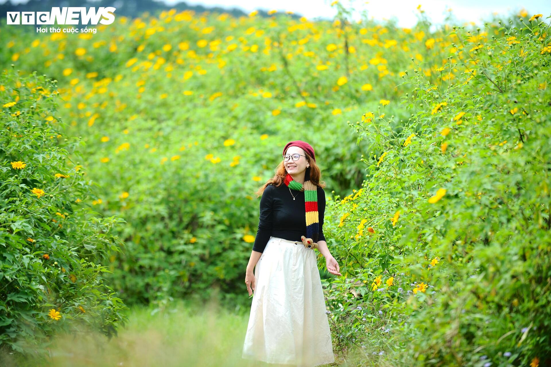 Divoké slunečnice barví horské město Da Lat na žluto v nejkrásnějším ročním období - 3