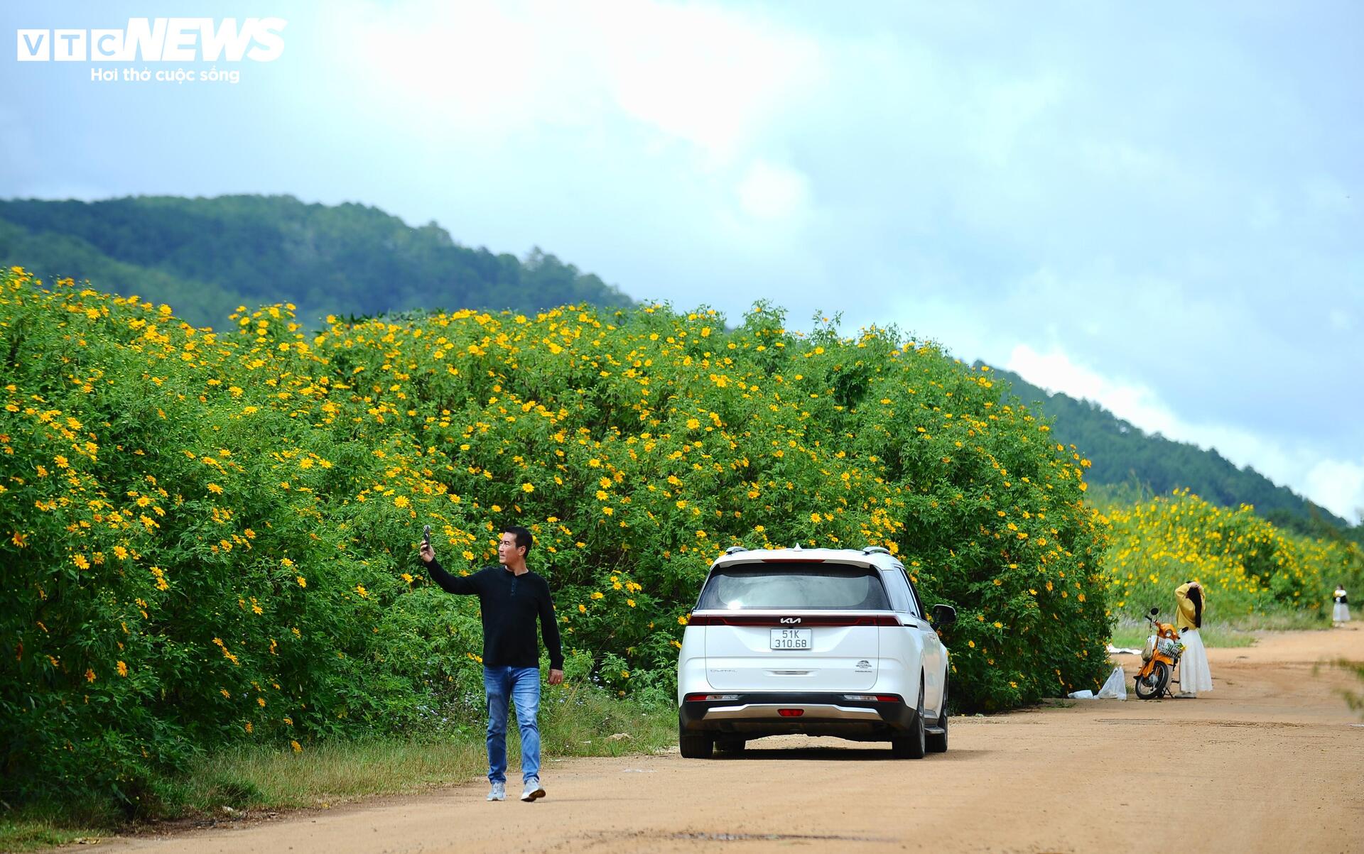 Divoké slunečnice barví horské město Da Lat na žluto v nejkrásnějším ročním období - 2