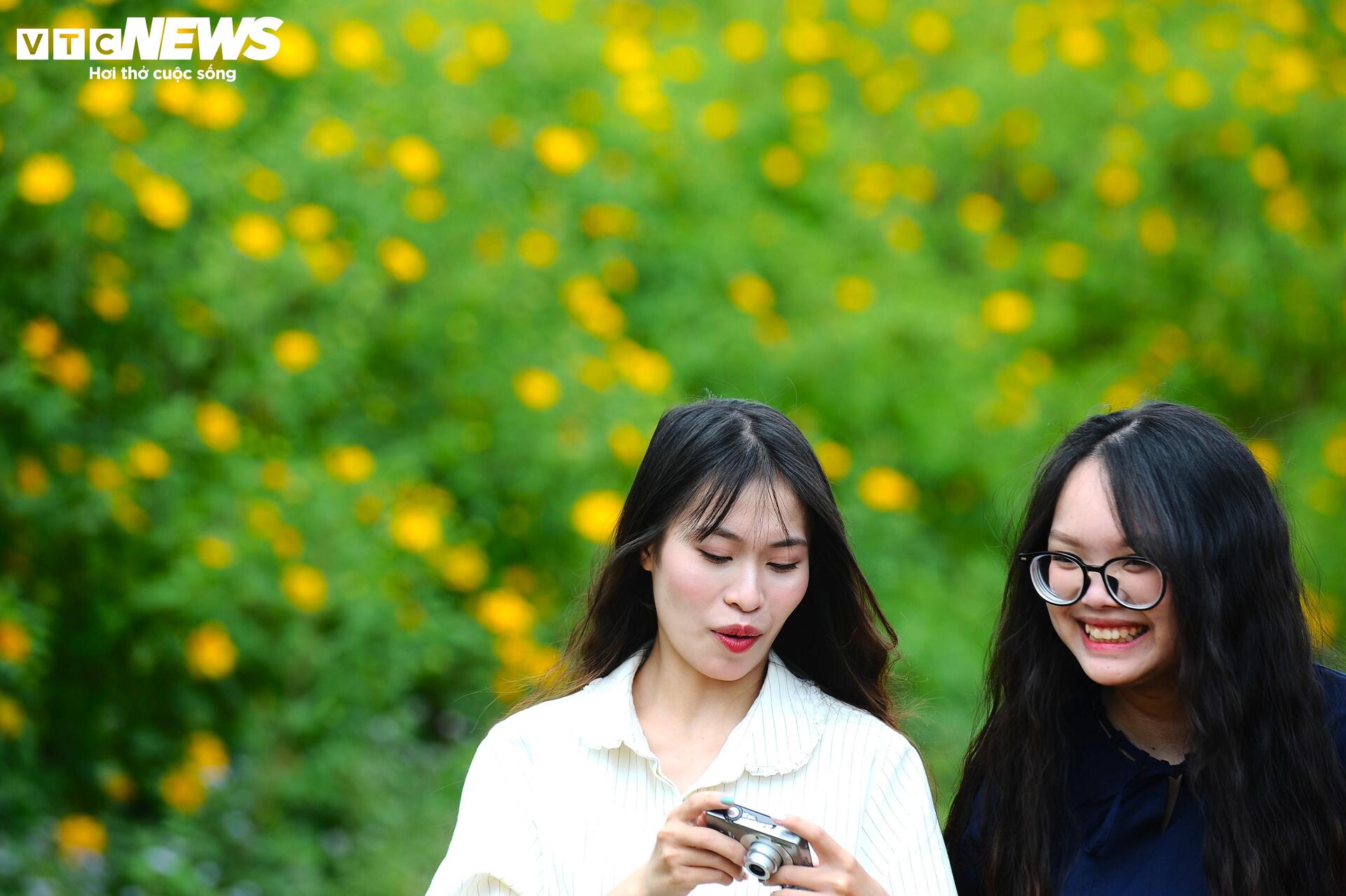 Divoké slunečnice barví horské město Da Lat na žluto v nejkrásnějším ročním období - 4