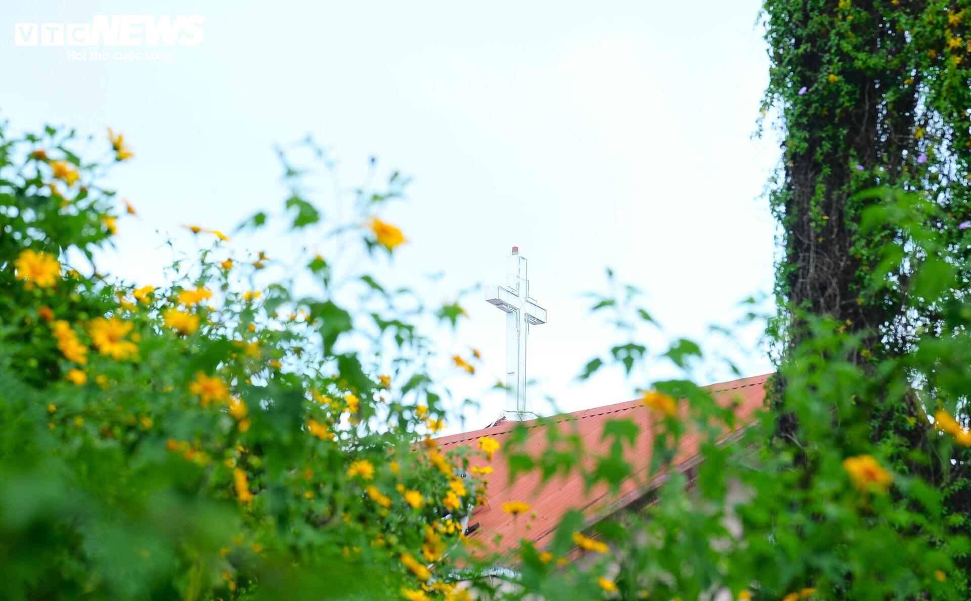 Divoké slunečnice barví horské město Da Lat na žluto v nejkrásnějším ročním období - 14