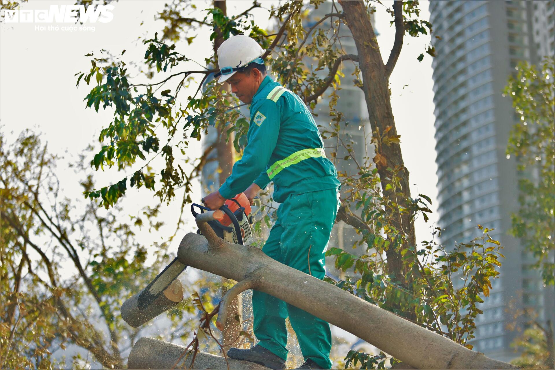 Gồng mình khắc phục hậu quả sau bão Kalmaegi - 10