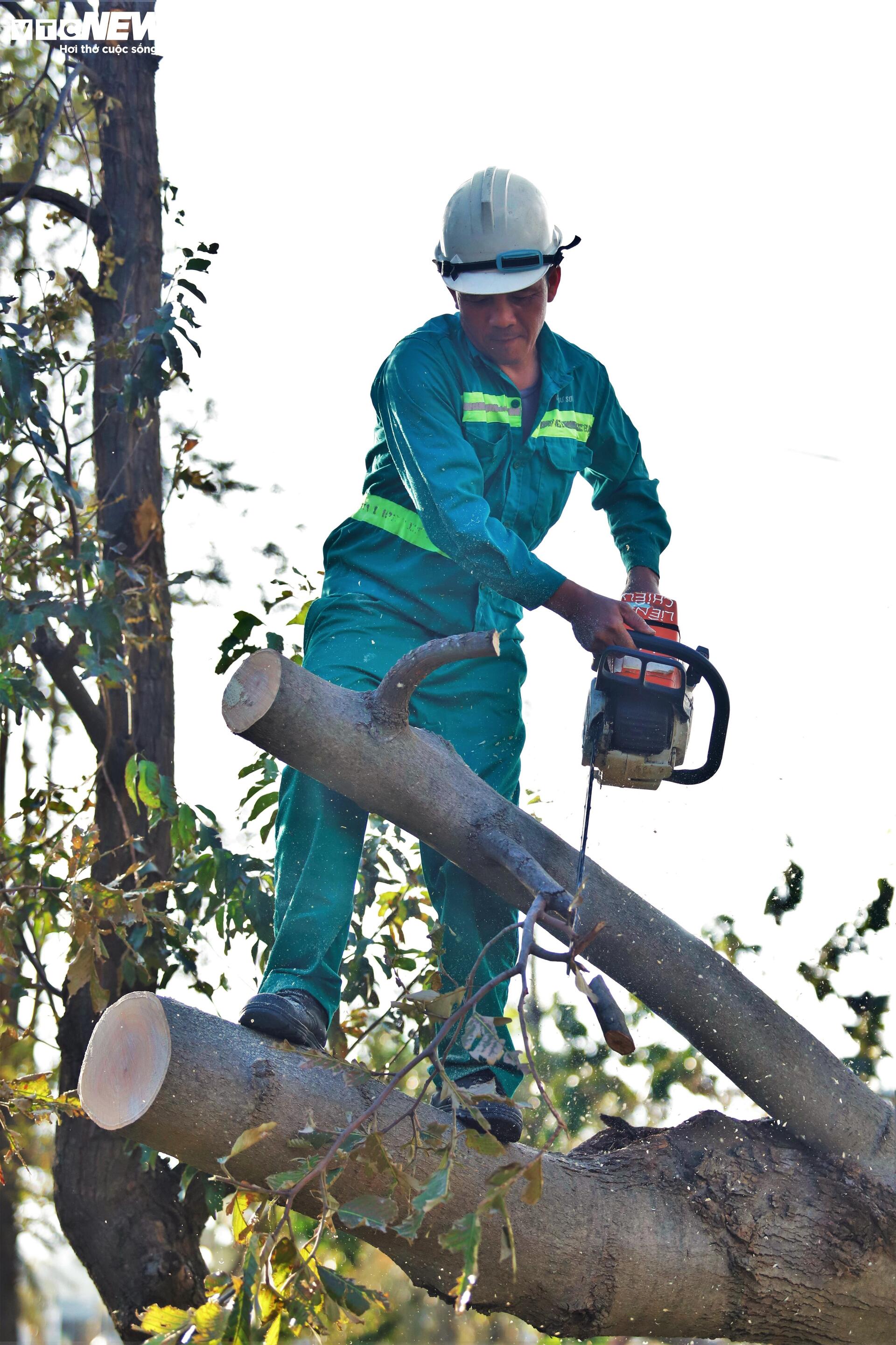 Gồng mình khắc phục hậu quả sau bão Kalmaegi - 11