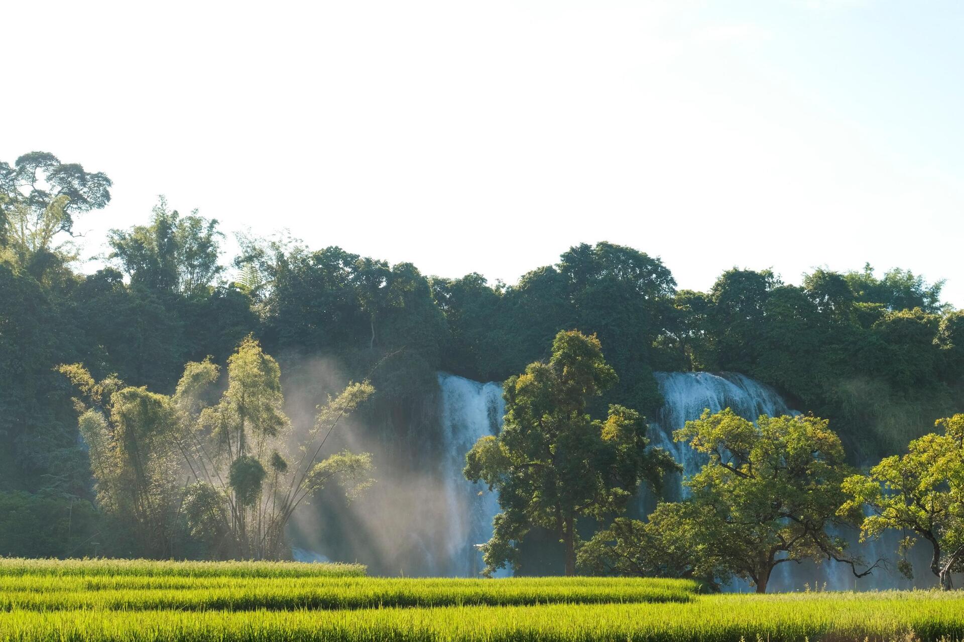 Vẻ hùng vĩ của thác nước lớn nhất Đông Nam Á vào mùa đẹp nhất trong năm - 3