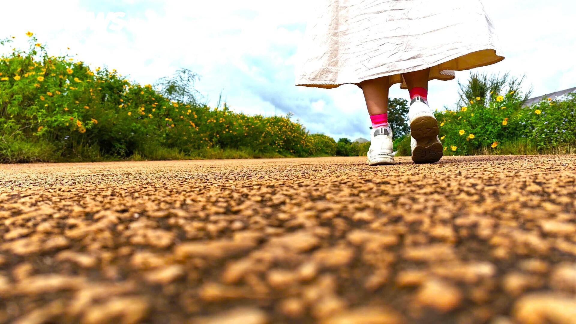 Divoké slunečnice barví horské město Da Lat na žluto v nejkrásnějším ročním období - 17