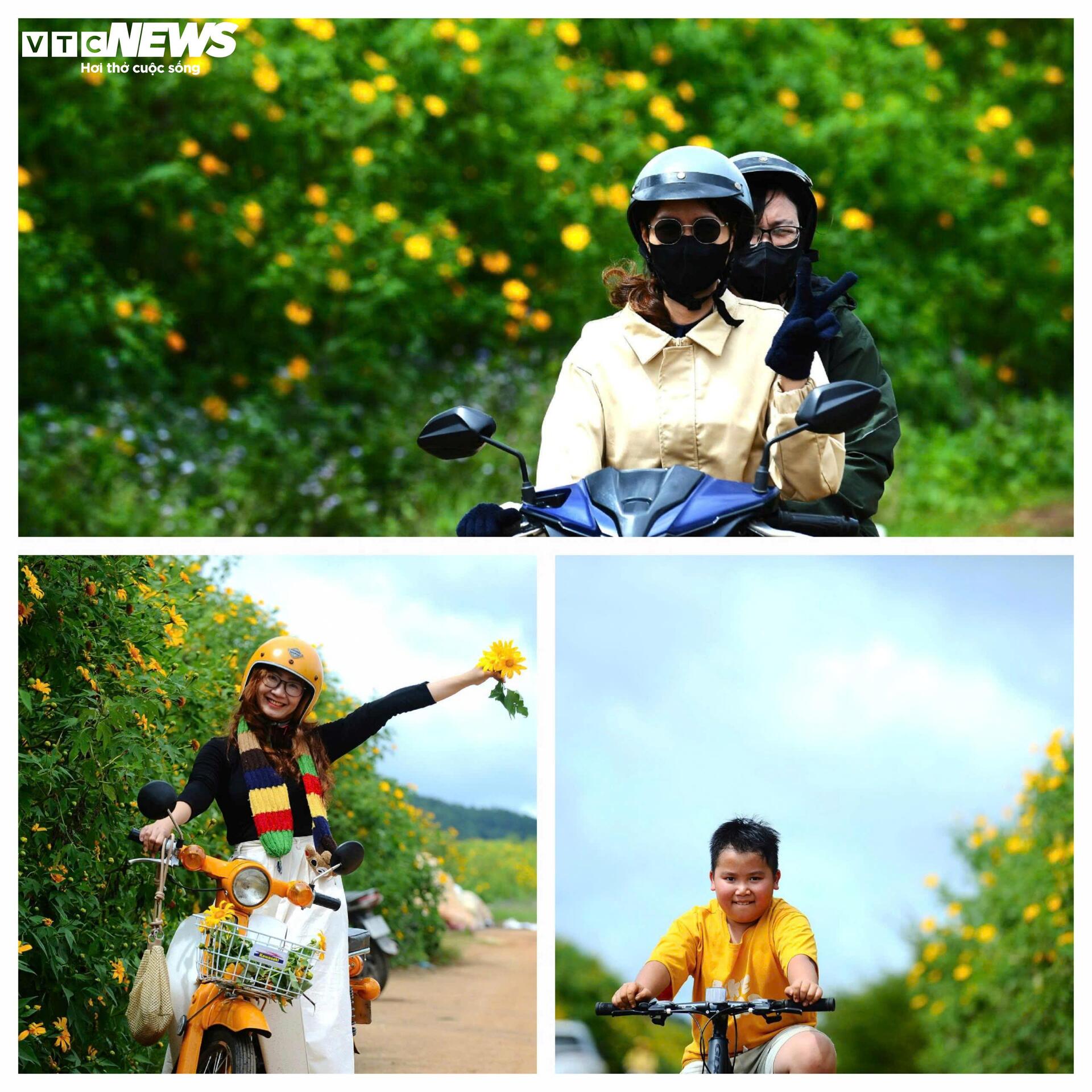 Divoké slunečnice barví horské město Da Lat na žluto v nejkrásnějším ročním období - 12